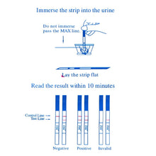 Load image into Gallery viewer, Тест-полоски LH, тест-полоски для овуляции, тест-тест на овуляцию мочи, 20 шт.